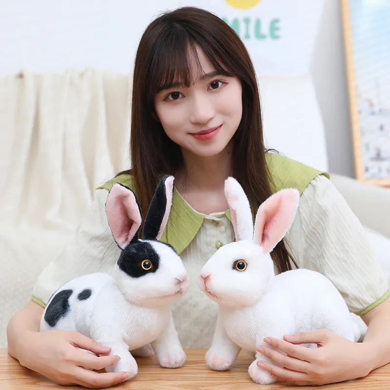 Abbey-The Rabbit Plush Toy