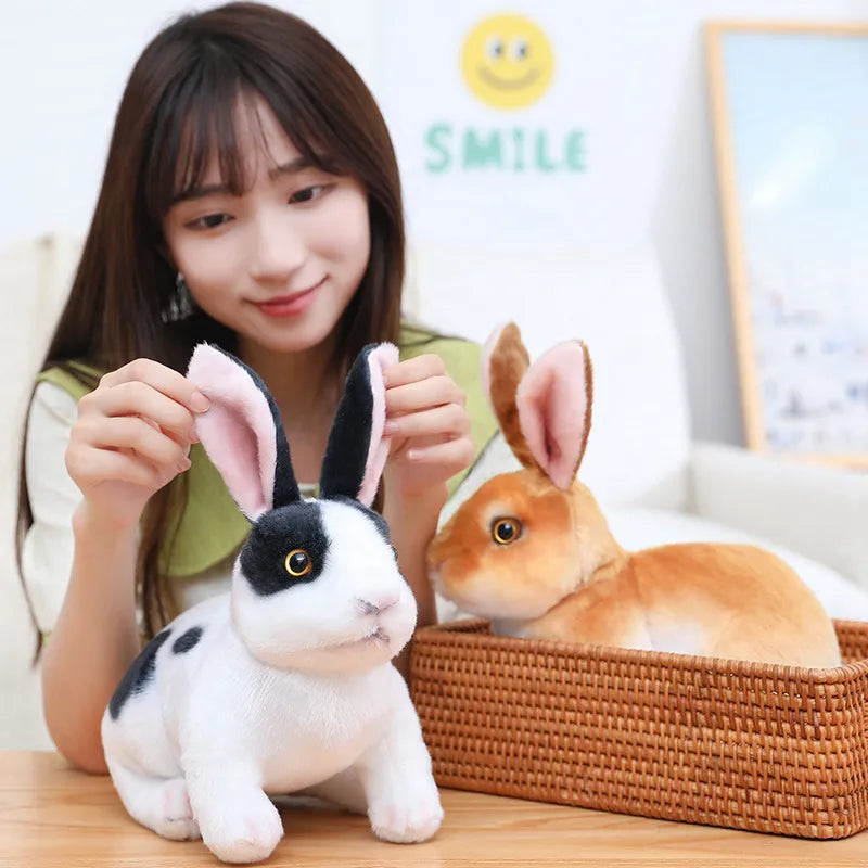 Abbey-The Rabbit Plush Toy