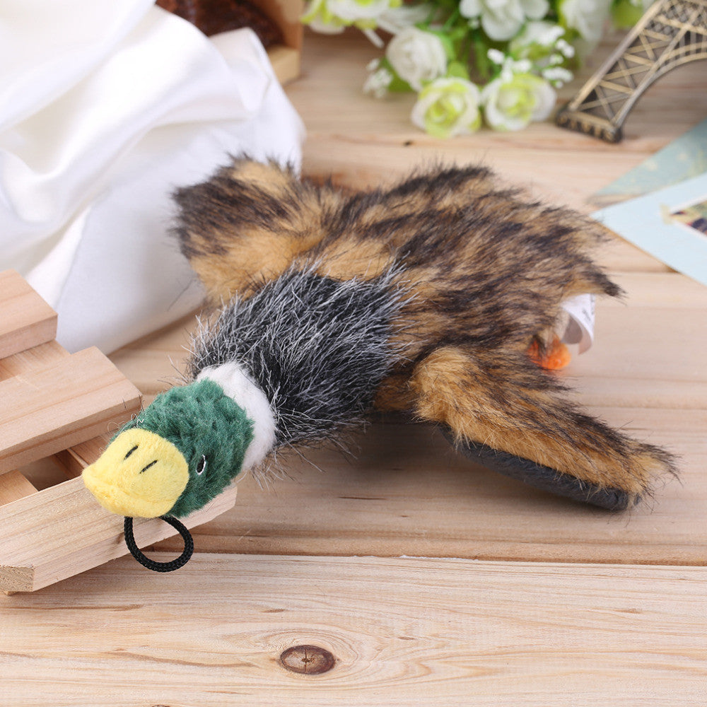 Duck Squeaker toy