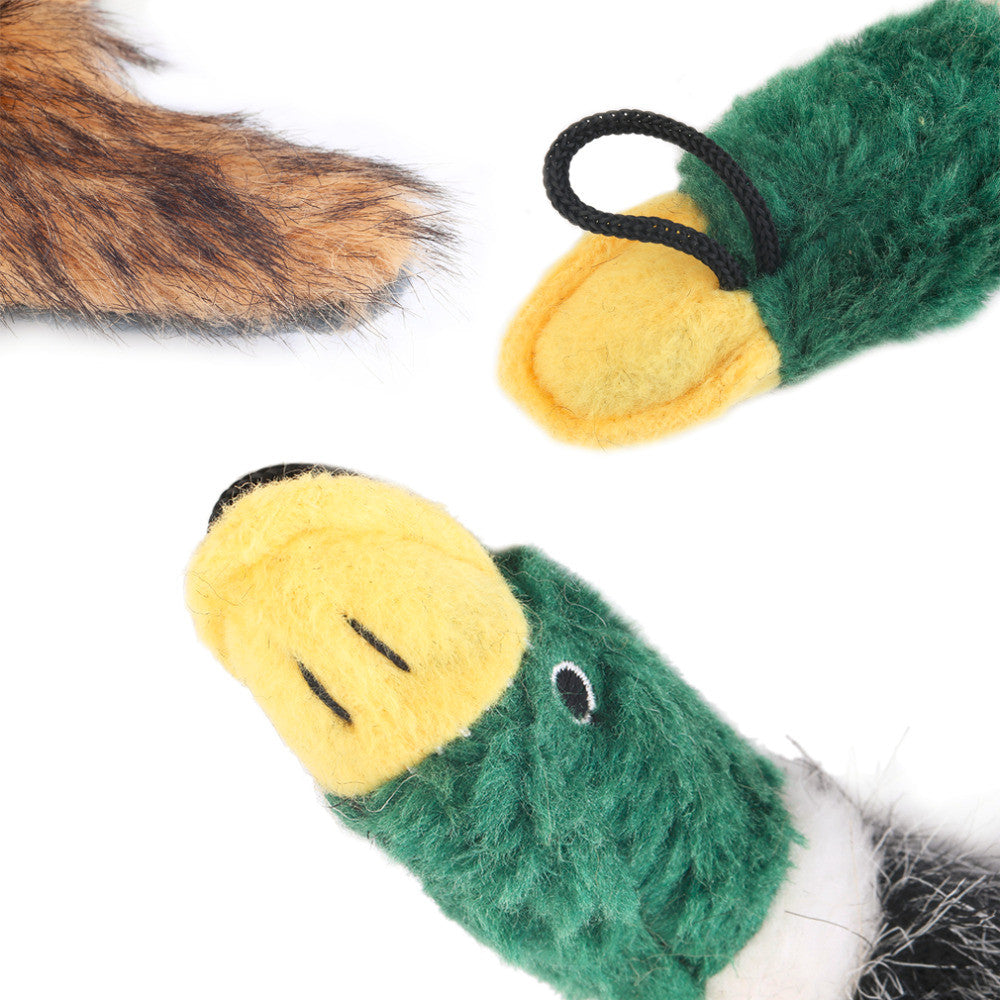 Duck Squeaker toy