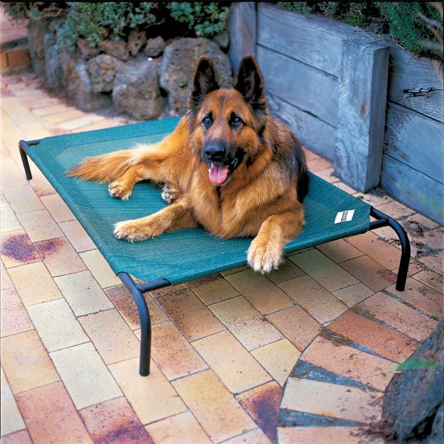 Elevated Dog Bed Lounger