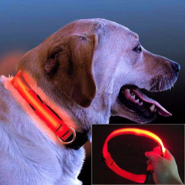 FREE LED Safety Collar