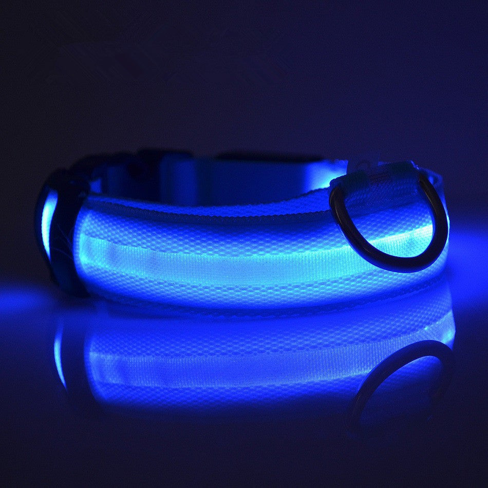 FREE LED Safety Collar