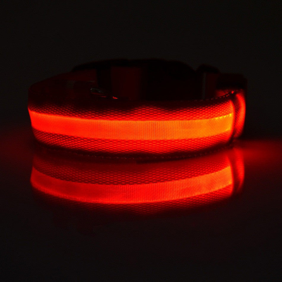 FREE LED Safety Collar