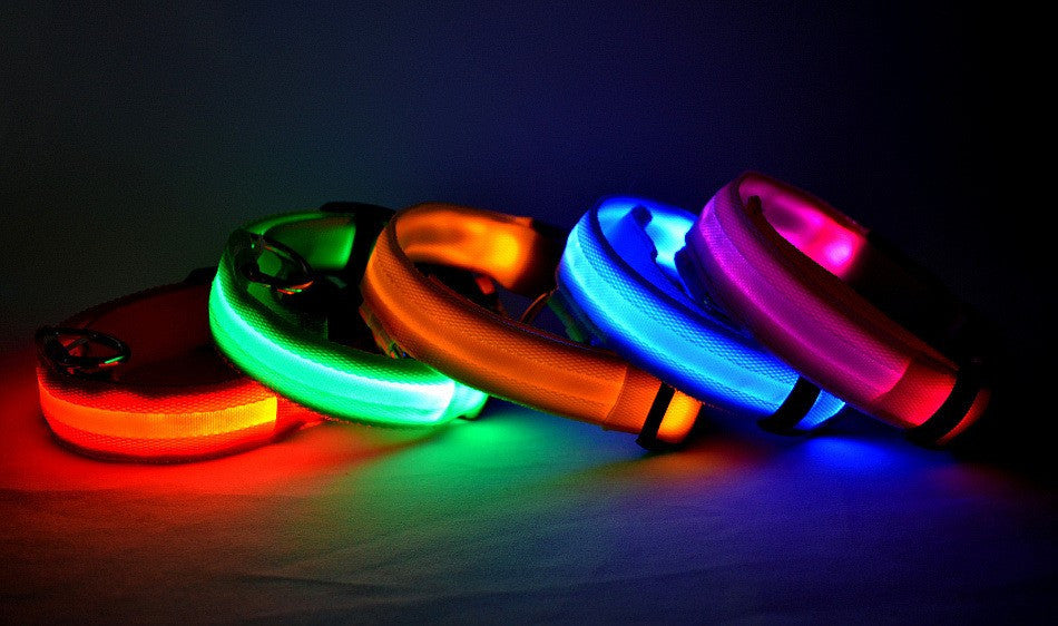 FREE LED Safety Collar