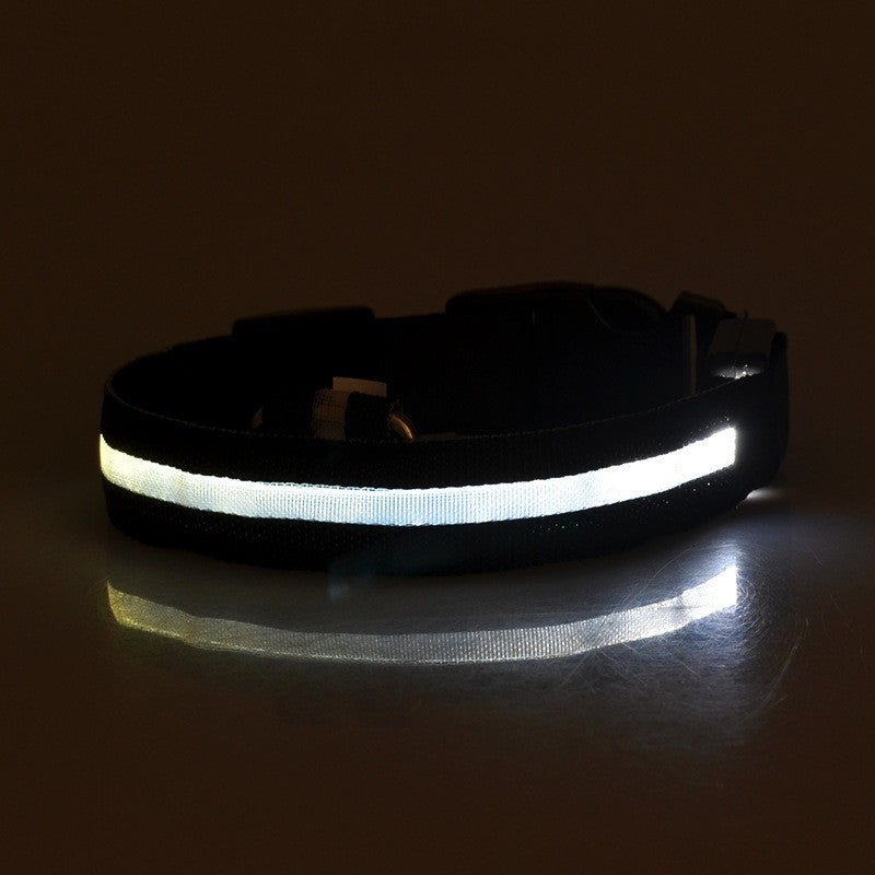 FREE LED Safety Collar