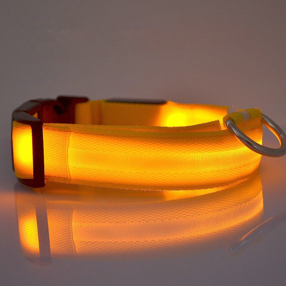 FREE LED Safety Collar