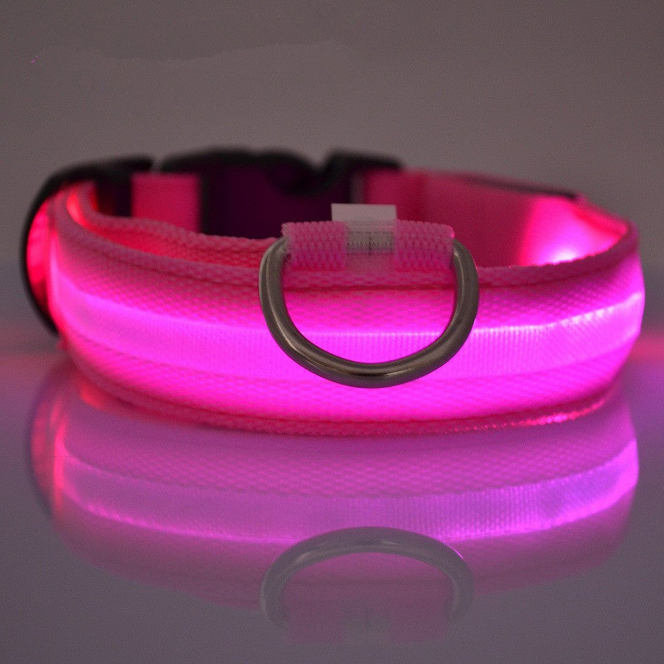 FREE LED Safety Collar