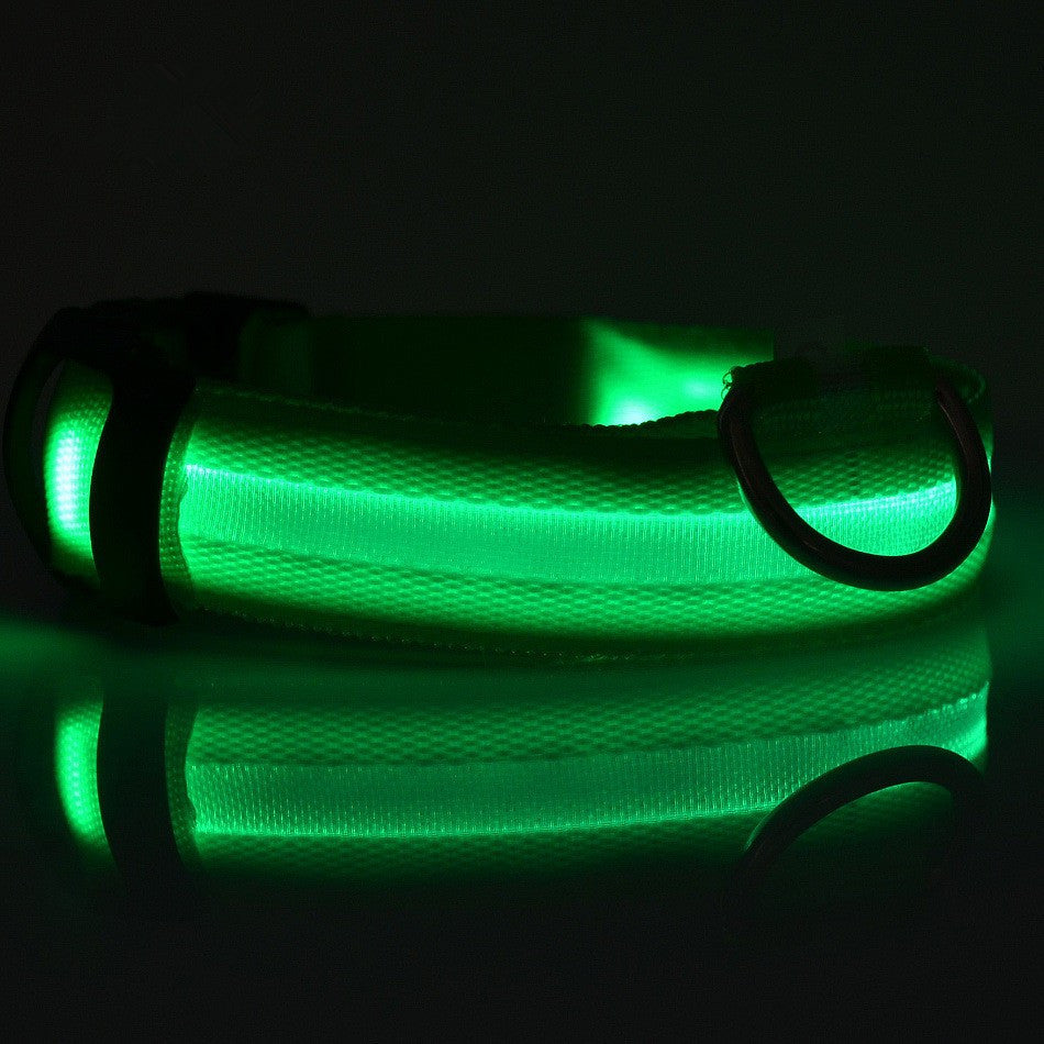 FREE LED Safety Collar