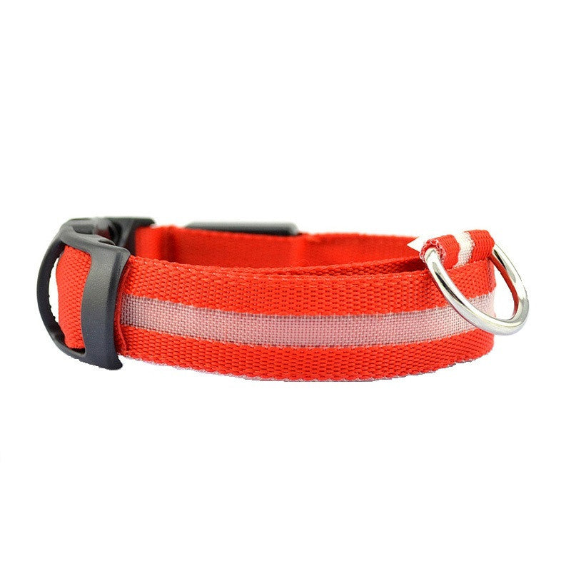 FREE LED Safety Collar
