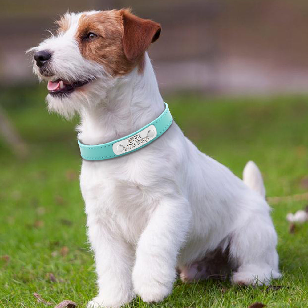 Leather Personalized Dog Collars