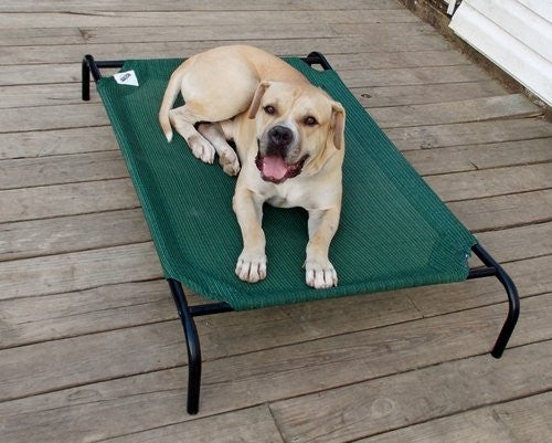 Elevated Dog Bed Lounger