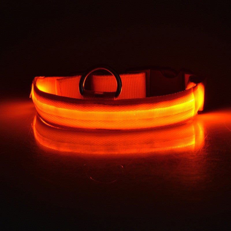 FREE LED Safety Collar